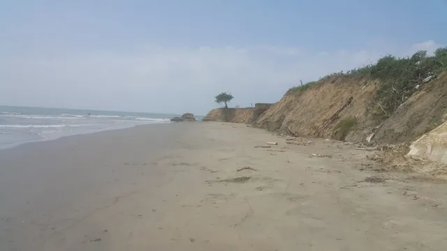 Venta de terreno con playas en sector de Punta Canoa — 25