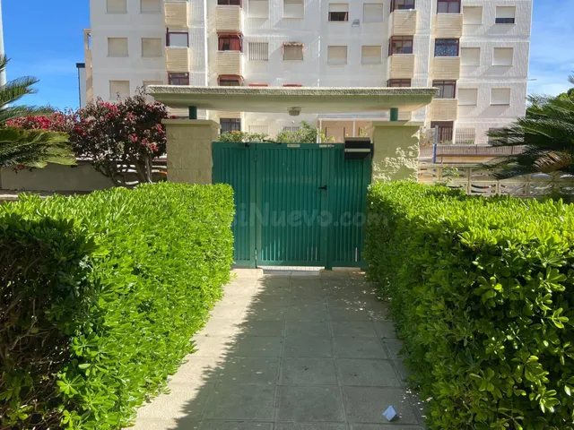 Alquiler de temporada en la playa de Gandia - foto 3