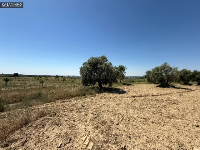 Se vende terreno rústico en el pueblo de Burceat a solo 5 mi - foto 5