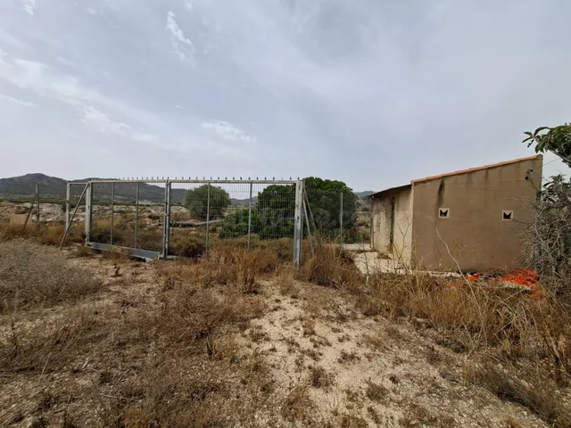 ¡¡ VENTA PARCELA EDIFICABLE 11371 m2 EN LA ROMANA !!