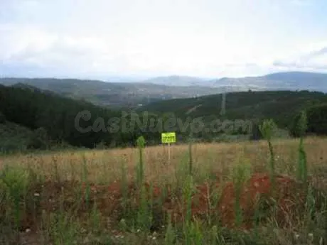 Terreno rural 4200m² en venta - Molinaseca - foto 3