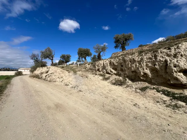 Un rincón de paz y futuro en Alhendín (SOLAR URBANIZABLE) — 21