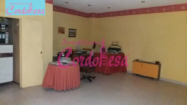 FANTASTICO LOCAL COMERCIAL EN PLENO CENTRO — 4