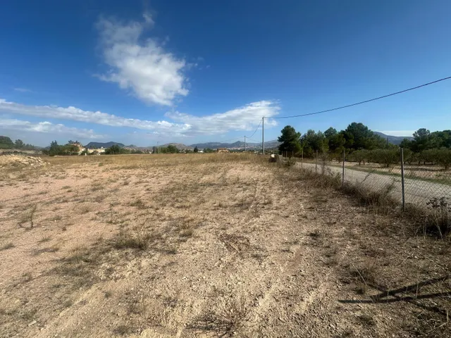 Terreno Rural Agrario de 13.000 m2 en Beties – Monóvar — 16