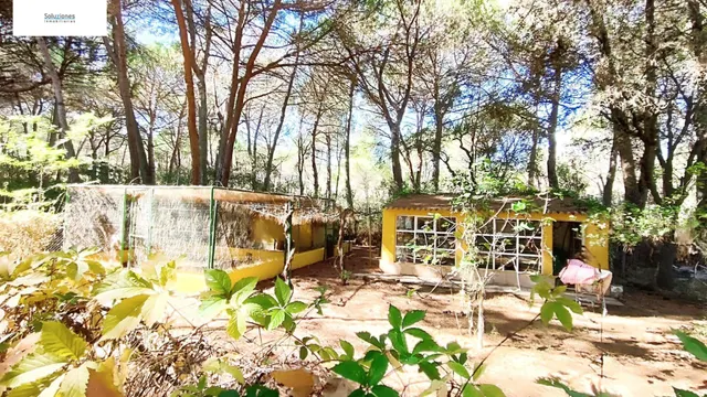 Chalet en los Pinares del Júcar — 22