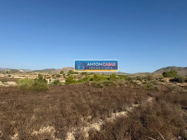 VENTA DE TERRENOS EN HORNA ALTA - NOVELDA - foto 4