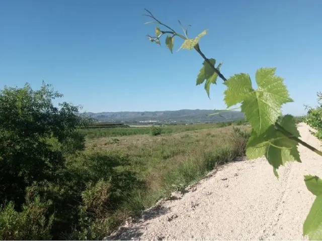 CASTELLÓ DE RUGAT (VALENCIA) - GRAN PARCELA - SE VENDE — 2