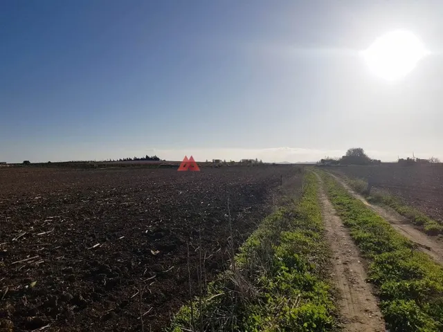PARCELA SEGREGADA MIRALAMAR — 17