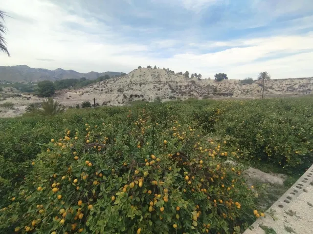 ¡Descubra una oportunidad única en el corazón del Valle de Ricote! — 7