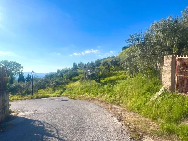 NÍVAR-GRANADA — 5