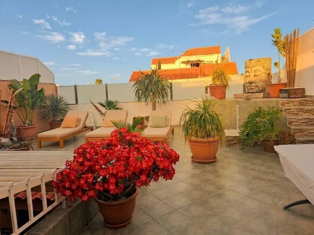 Amplia casa independiente en San Fernando con azotea, patio y apartamento de invitados — 23