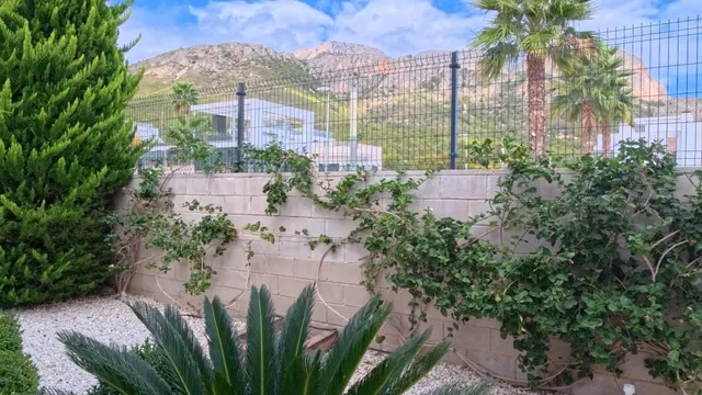 Amplio apartamento de esquina en planta baja con parcela y estudio exterior — 39