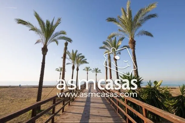 Inmobiliaria en Benicasim vende solar urbano en zona Els Ter