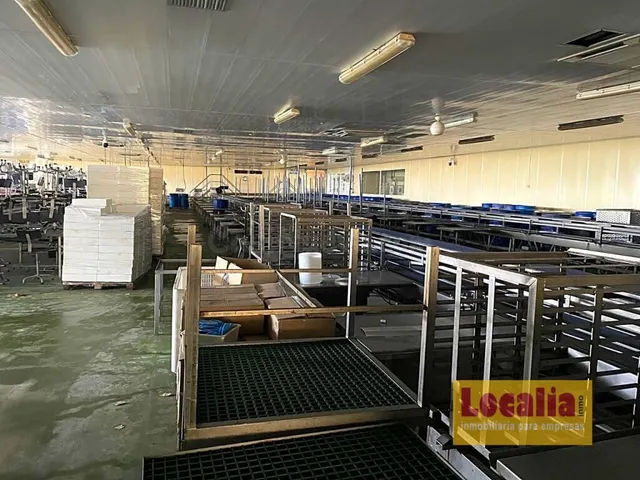 Fábrica de conservas de alimentos en Cantabria - foto 2
