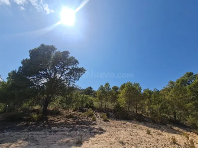 Parcela 1500m² en venta - Ayuntamiento - foto 4