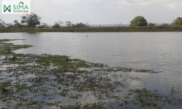 SE VENDE FINCA GANADERA EN EL MUNICIPIO DE MAHATES BOLIVAR — 25