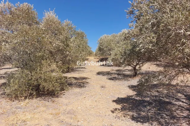 Parcela en venta - Alora pueblo — 17