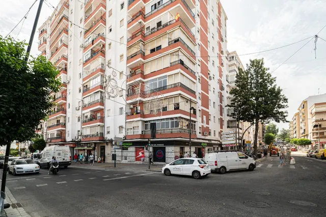 Un Balcón al Aljarafe y a Sevilla — 28