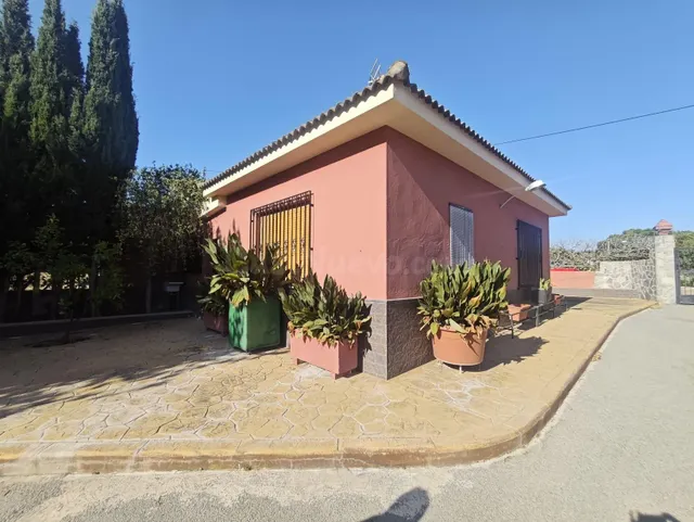 Campo en Sax 14.000 m2 parcela y casa con piscina — 43
