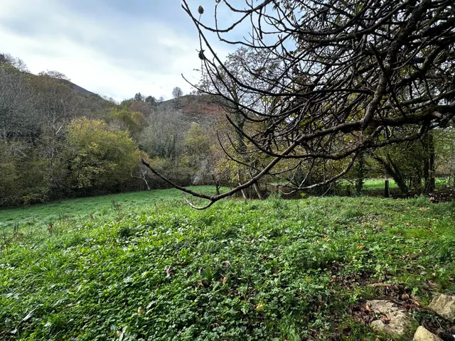 FINCA EDIFICABLE A 3 KM DE CANGAS DE ONIS — 3