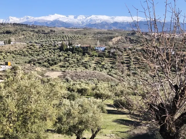 Terreno rural en venta - Sierra de huetor y la alfaguara — 15