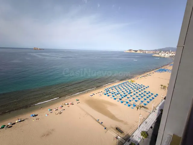 ESTUDIO REFORMADO EN PRIMERA LINEA DE BENIDORM - foto 3