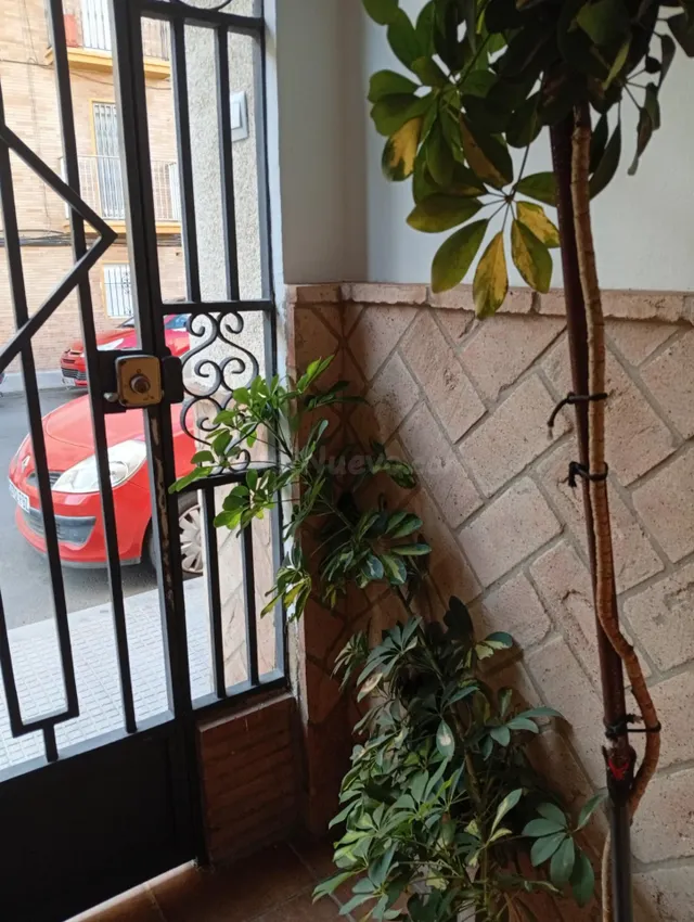 BONITA VIVIENDA PAREADA EN ISLA CHICA - foto 3