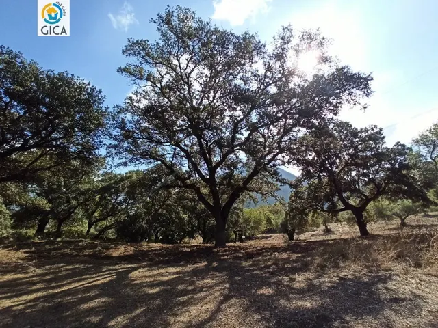 CASA CON PARCELA  EN LA SIERRA DE CADIZ -EL BOSQUE — 25