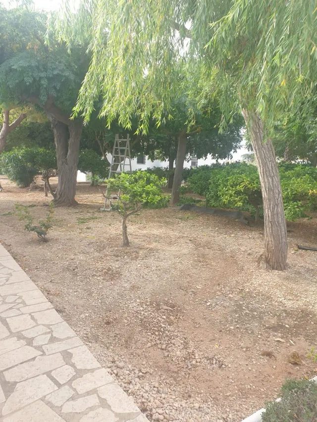Terreno con 2 casas en Vinaros — 11