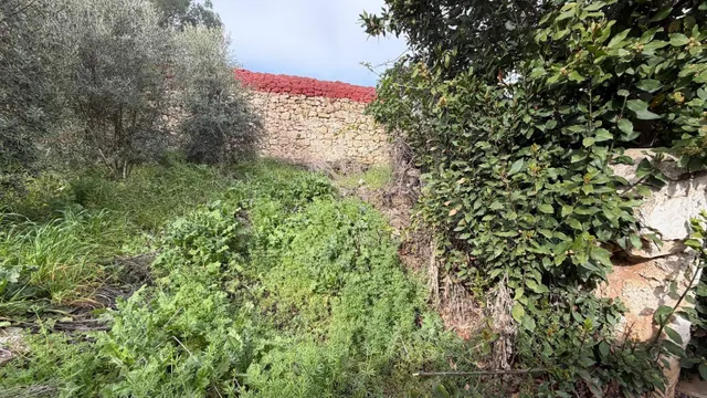 Casa con terreno en venta en Abengibre, Albacete — 8