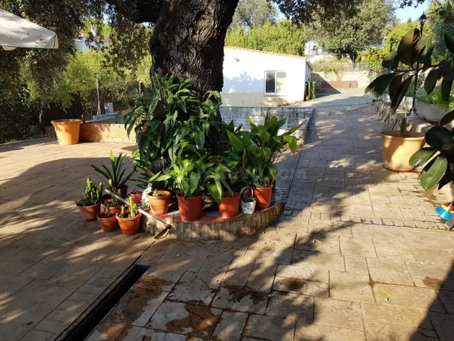 Espectacular Chalet en Monte del Casar - foto 4