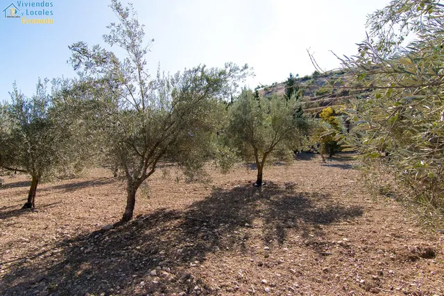 Hospederia rural en Huetor Tajar. — 48