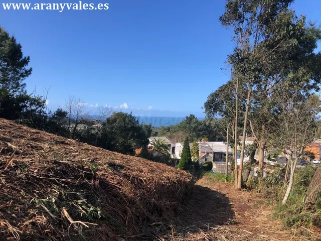 Finca de 19000m2 con 1000 m2 urbanos - foto 2