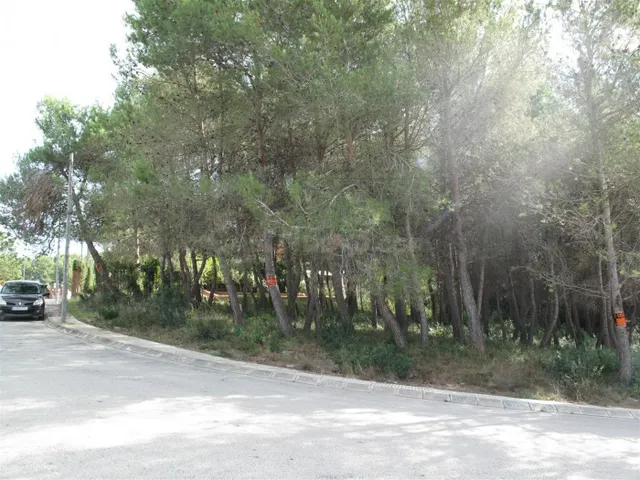 GRAN PARCELA PARA USO RESIDENCIAL - foto 3