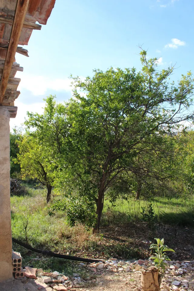 Casa de huerta en Patiño. — 20