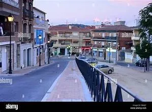 Venta de casa con terreno en Pelayos de la Presa - Madrid — 2