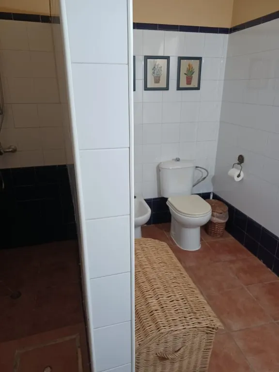 Magnífica casa de campo con piscina y vistas a Moguer, en finca de casi 15.000 m2 — 22