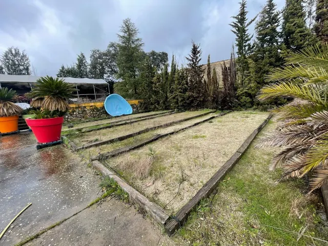 Nave en venta y alquiler en el Casar de Cáceres — 26