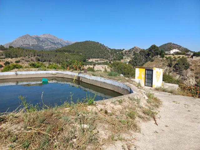 PARCELA DE TERRENO CON CASA CONSTRUIDA Y ARBOLES FRUTALES — 29