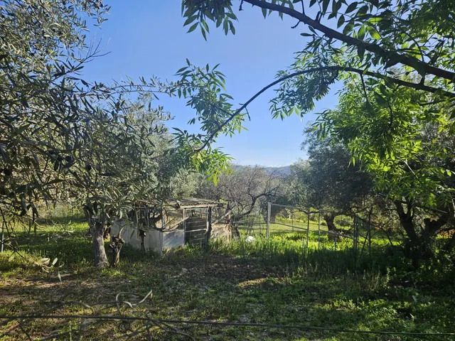 Finca rústica con olivos y cuadra en Casarabonela (Málaga) — 11