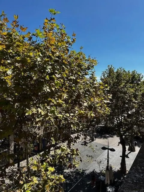 Oportunidad en Vilanova . Venta exclusiva — 2
