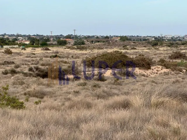 Se vende una hermosa parcela rústica en Moralet , ALICANTE - foto 5
