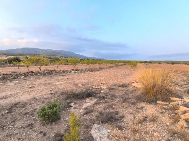 Parcela edificable 12234 m2 en Pinoso - Construir casa en en - foto 3