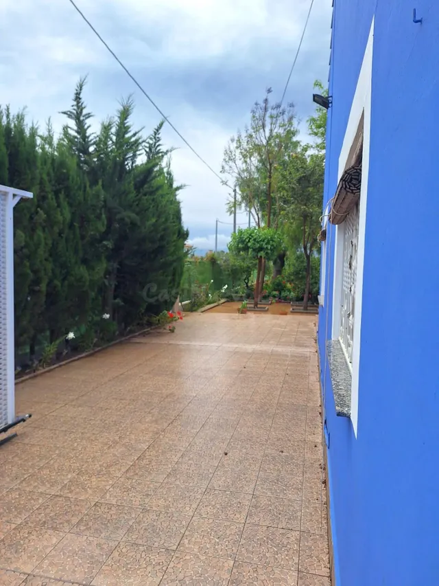 VENDEMOS COQUETA CASA DE HUERTA CON TERRENO EN SANGONERA LA  - foto 5