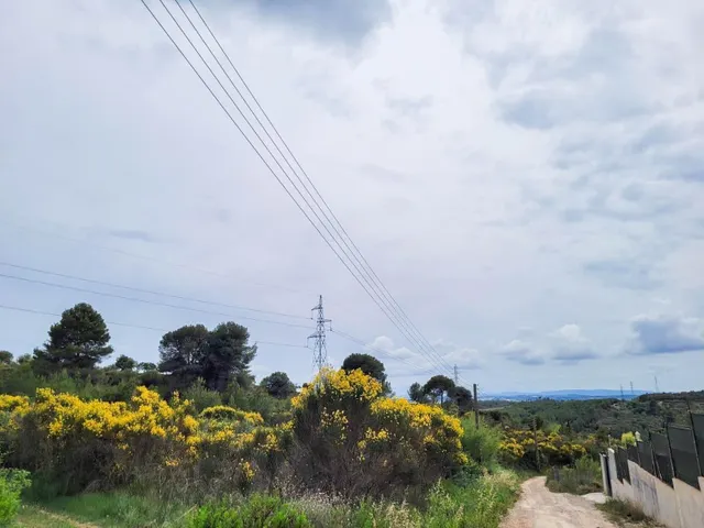 Terreno rústico de 10.735 m2 en Castellbisbal zona Can Nicolau de Dalt. — 19