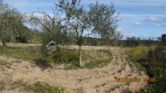 Se vende Parcela de 8.200 m2 vallado, en Arroyo de la Luz — 9