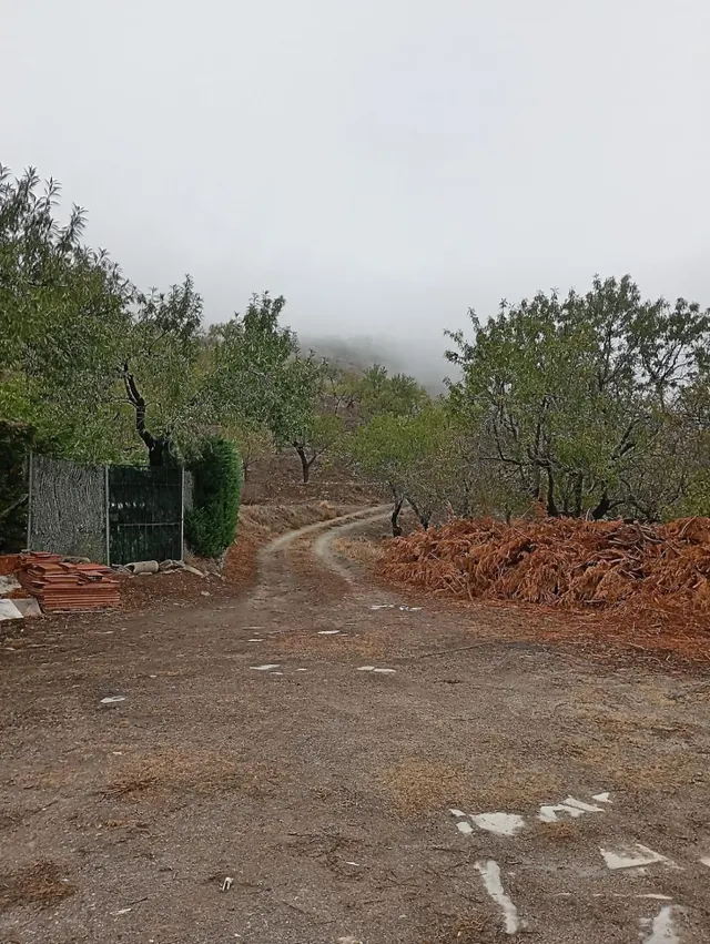 VENTA EN SIERRO ( ALMERÍA ) DE TERRENO PARA CAZA. - foto 4