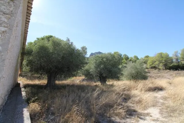IMPRESIONANTE FINCA DE 30 HECTÁREAS CON TERRENO CULTIVABLE Y VISTAS PANORÁMICAS A VILLENA — 38