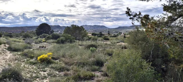 Terreno en La Galia-Bonavista