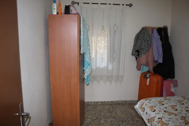 MAGNIFICO OLIVAR CON CASA, COCHERA PARA APEROS Y PISCINA ENTRE VILLAHARTA Y POZOBLANCO. — 26